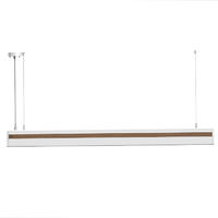 Spice Style Remote Dimming Designed Architectural LED Linear Lighting